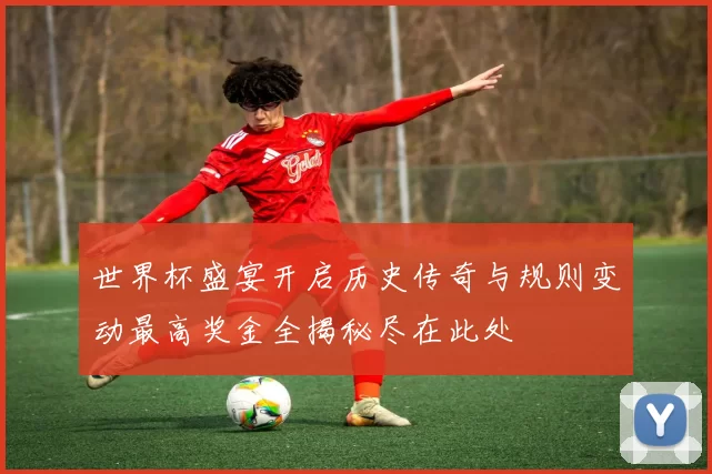世界杯盛宴开启历史传奇与规则变动最高奖金全揭秘尽在此处