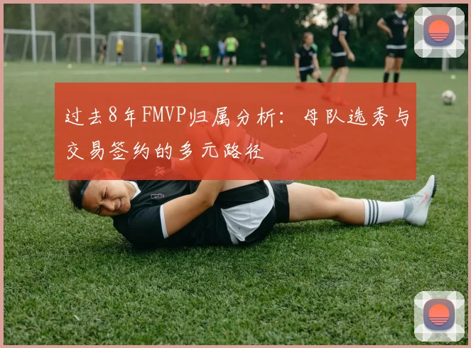 过去8年FMVP归属分析：母队选秀与交易签约的多元路径